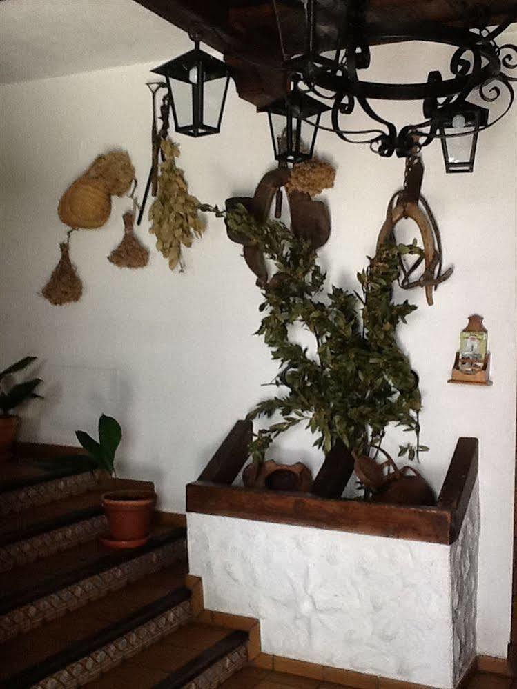 Hotel Posada San Antonio El Bosque Buitenkant foto